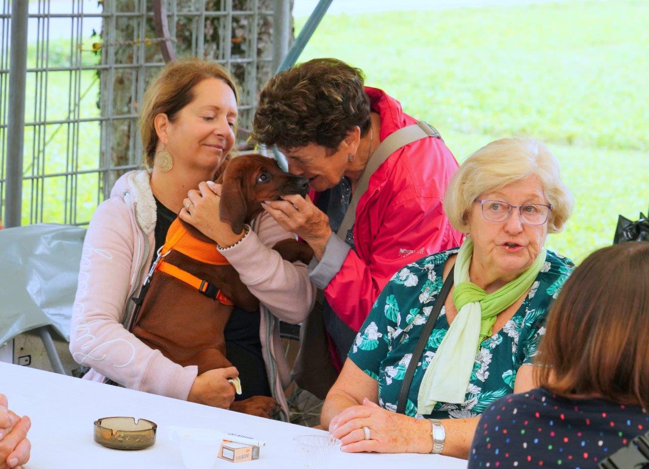 RRCS - Jahrestreffen 2019 in Niederlenz