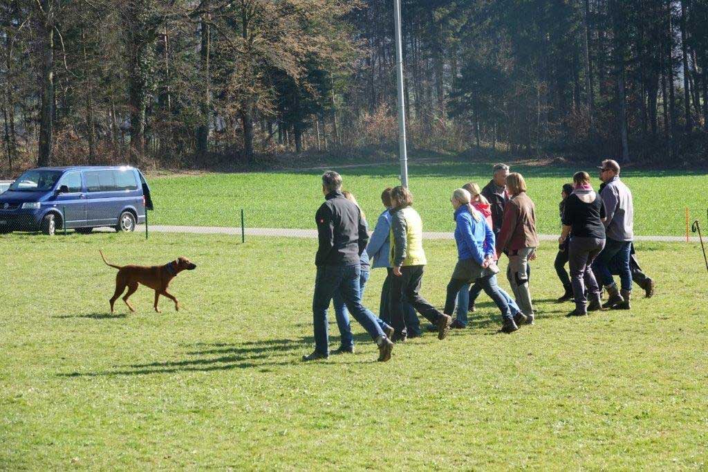 Frühjahrsankörung vom 23. März 2019