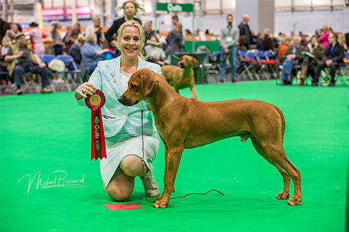 CRUFTS, Birmingham, 08.03.2020