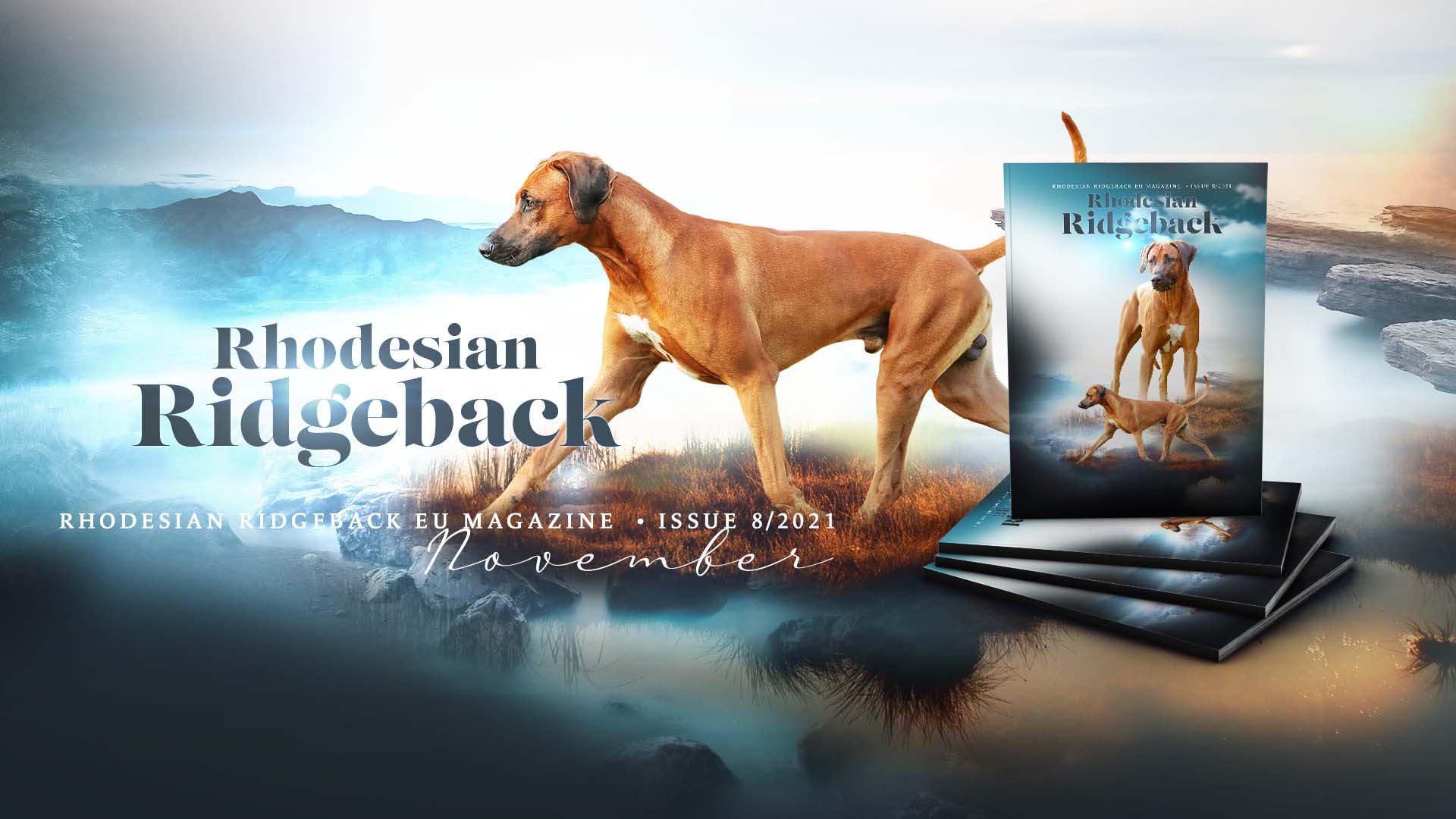 Deckrüde "Rocket" im RR EU Magazin