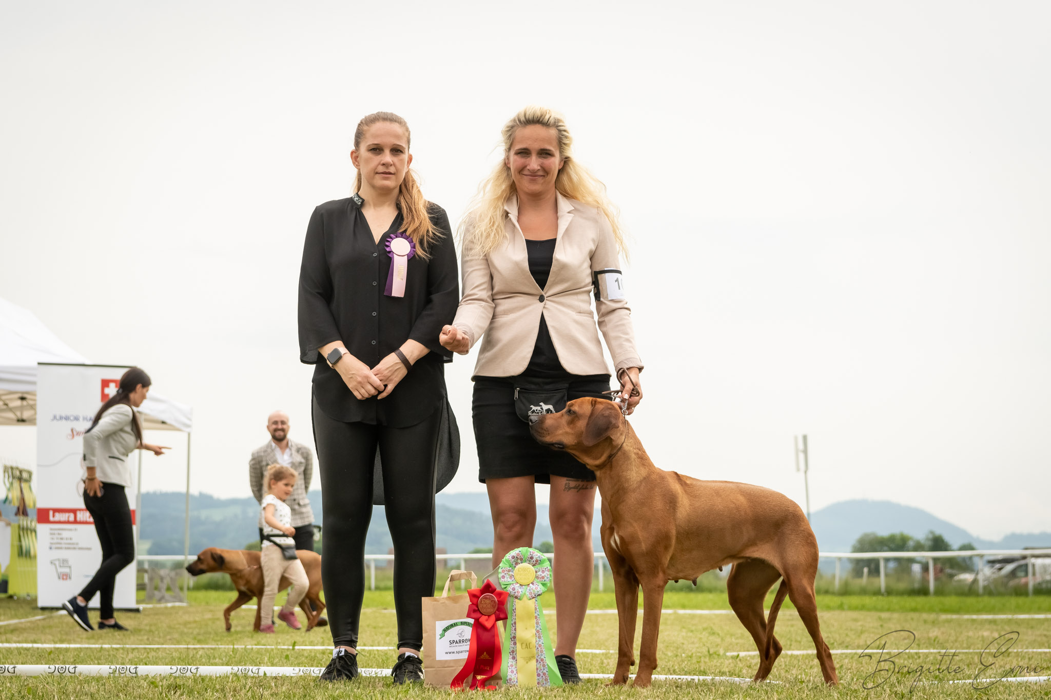 Dog Show Project Fehraltorf 2022