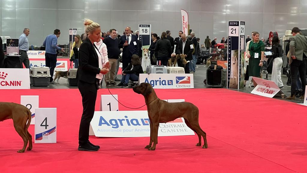 European Dog Show Paris 2022