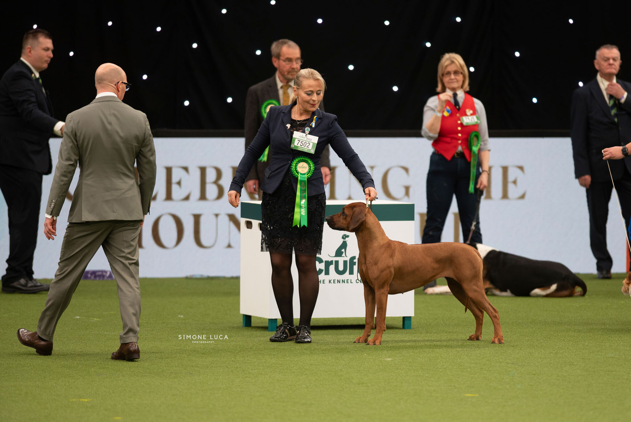 «SAVUTI CHITONGA YARA BY GEORGE» erreichte BOB an den Crufts