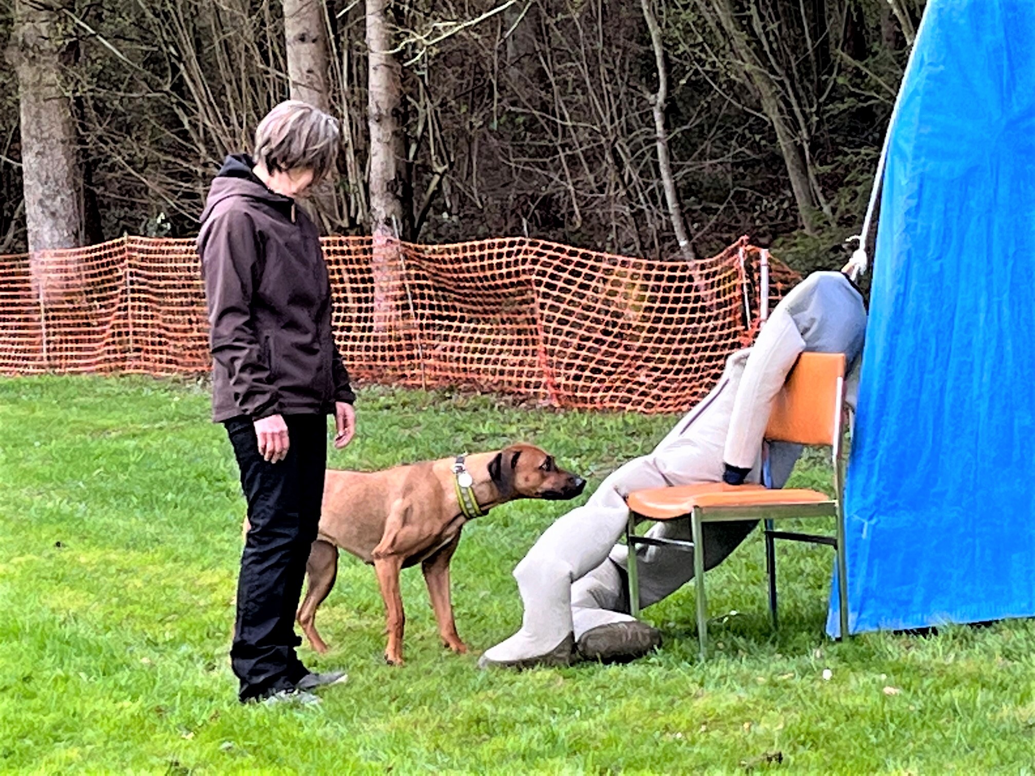 Chagha Ushamwari von Emerith Bertschy