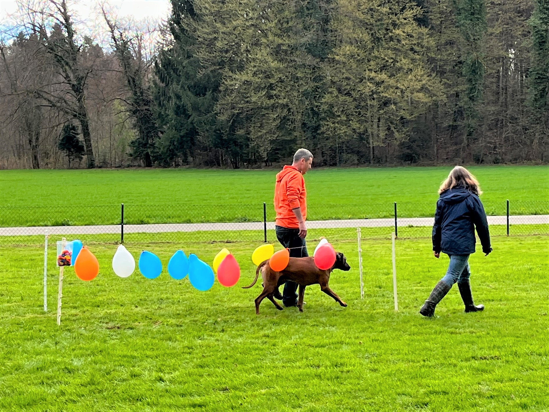 Chisulo Ushamwari von Rene Bärtschi