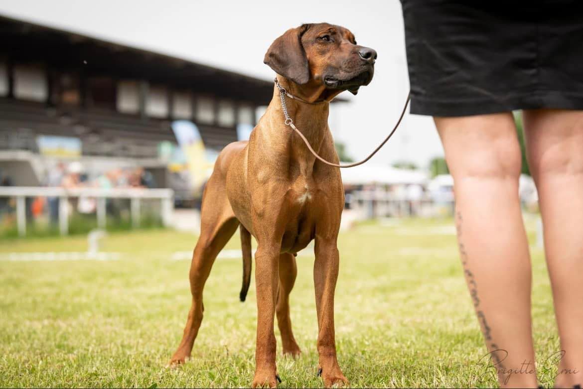 Hazel Mudiwa Feza von Cindy Kullik