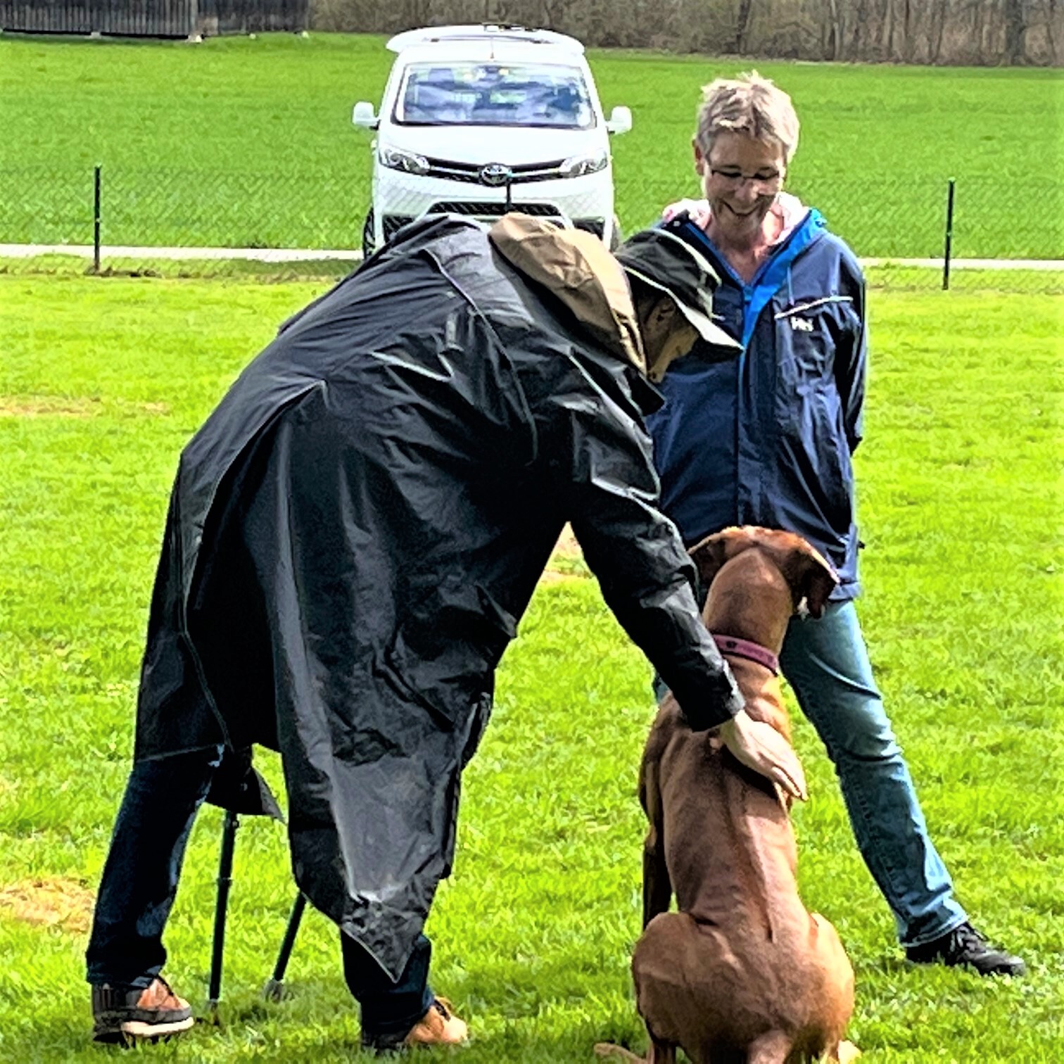 Ivye de pré Poussin von Brigitte Moeschli