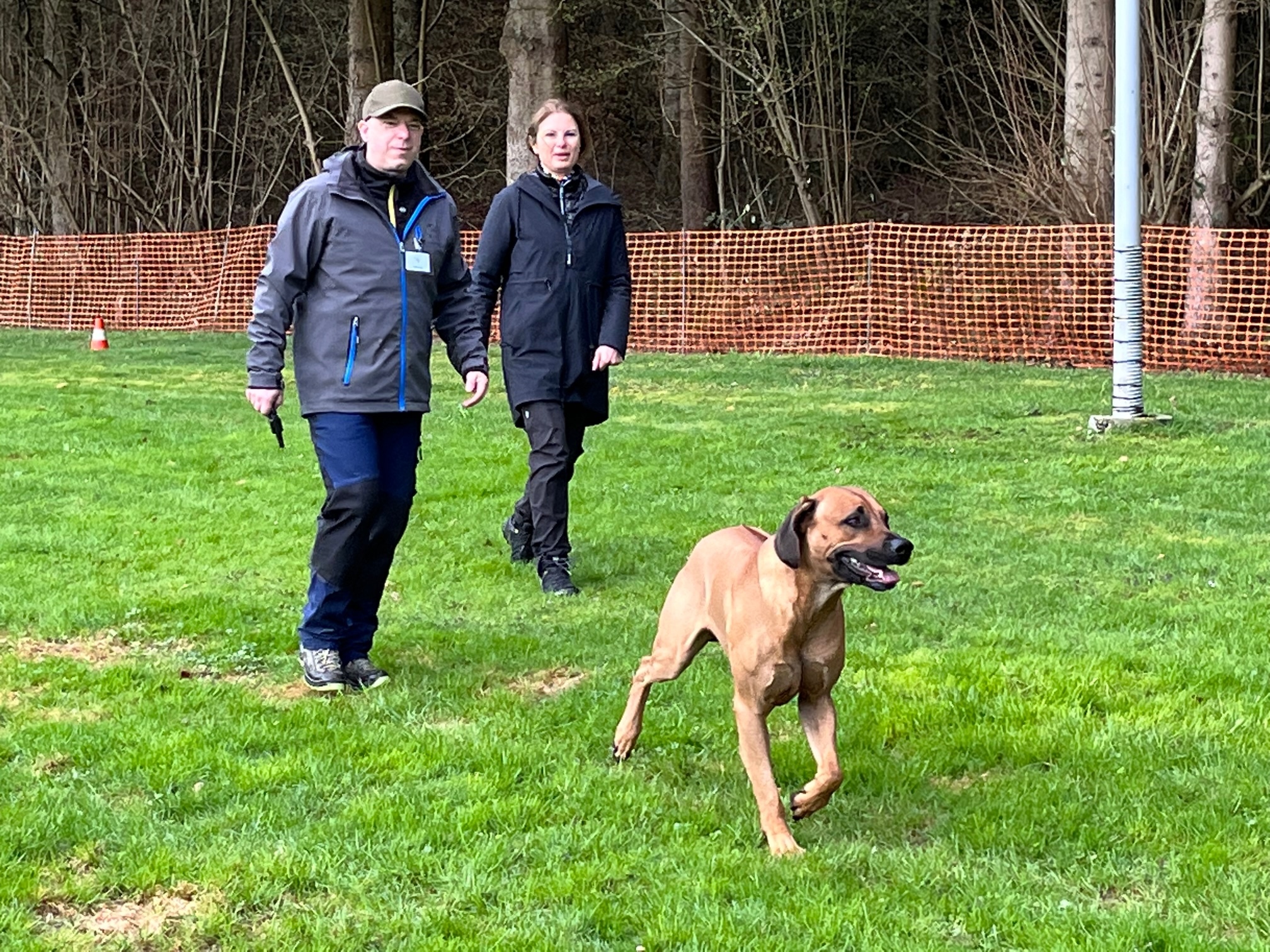 Kijana Lion Daudi by George von Priska Wechsler