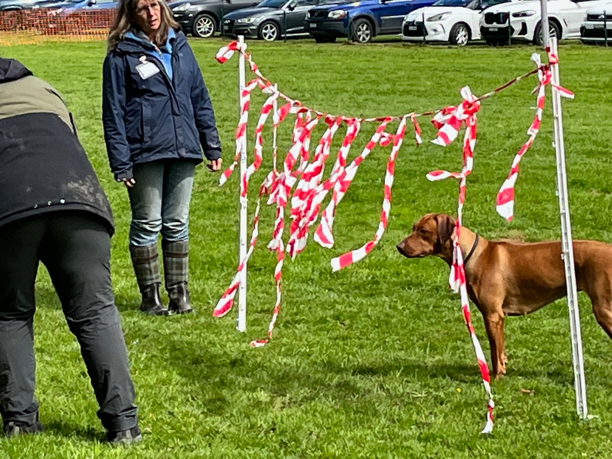 Zurimahali Soliana Red von Walter Federspiel