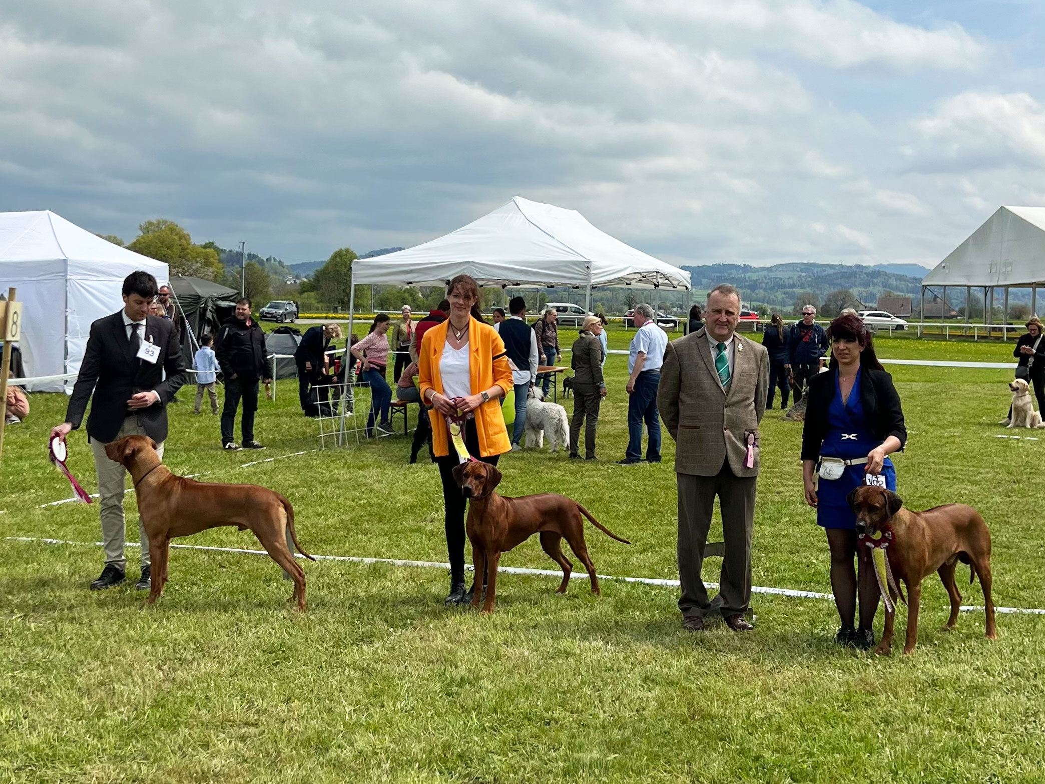 Resultate Dog Show Project 2023