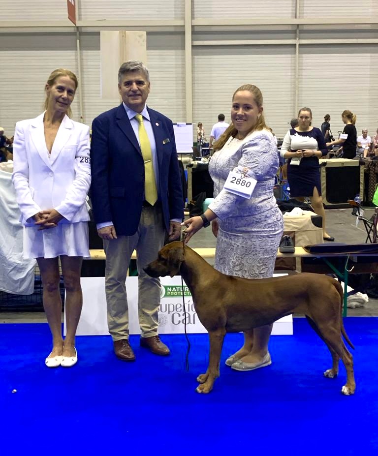 Kennel "Muna Ya Kusini" erfolgreich an der World Dog Show