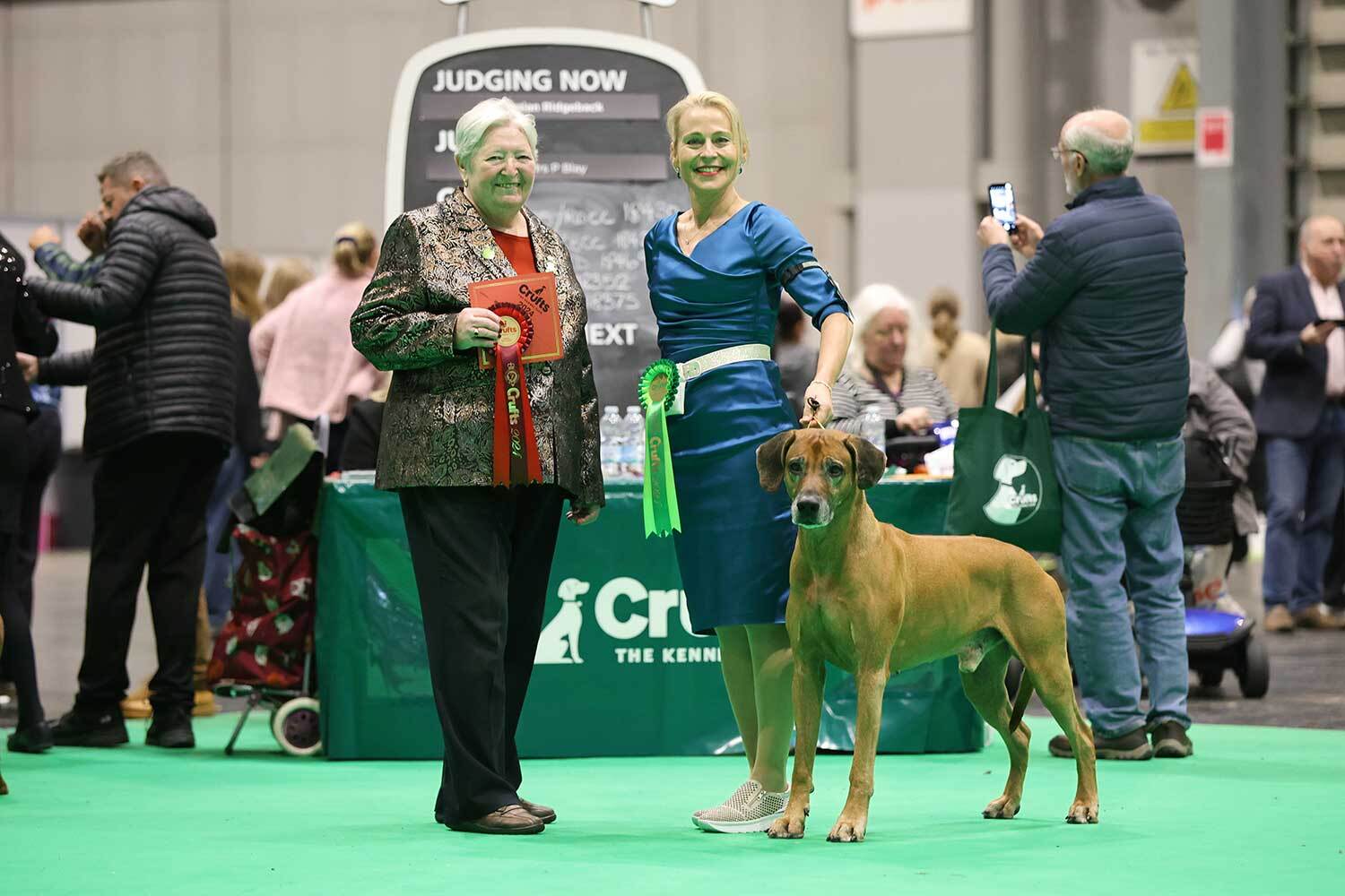 Shurubu-Hunde glänzten an den Crufts