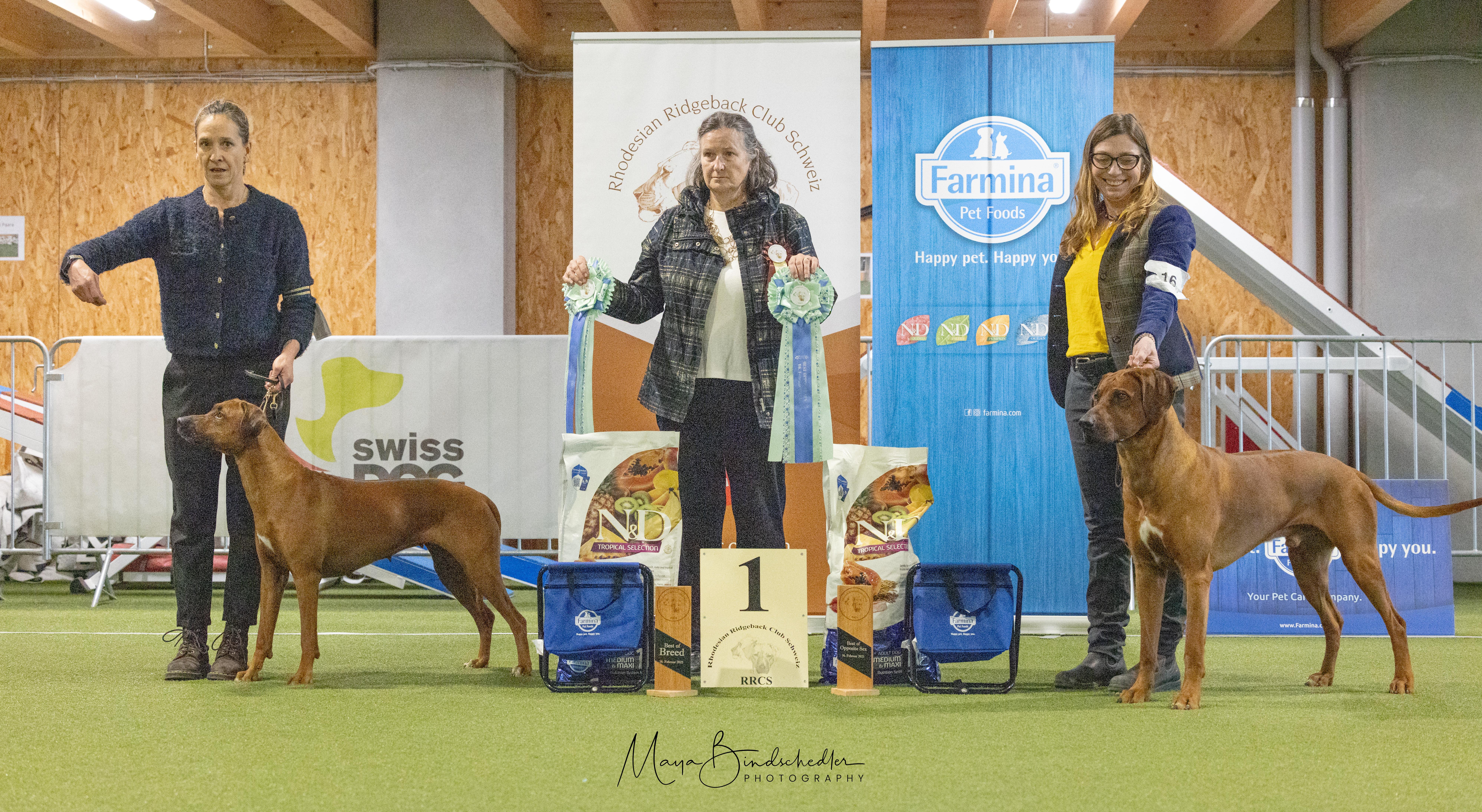 Resultate der Clubshow 2025