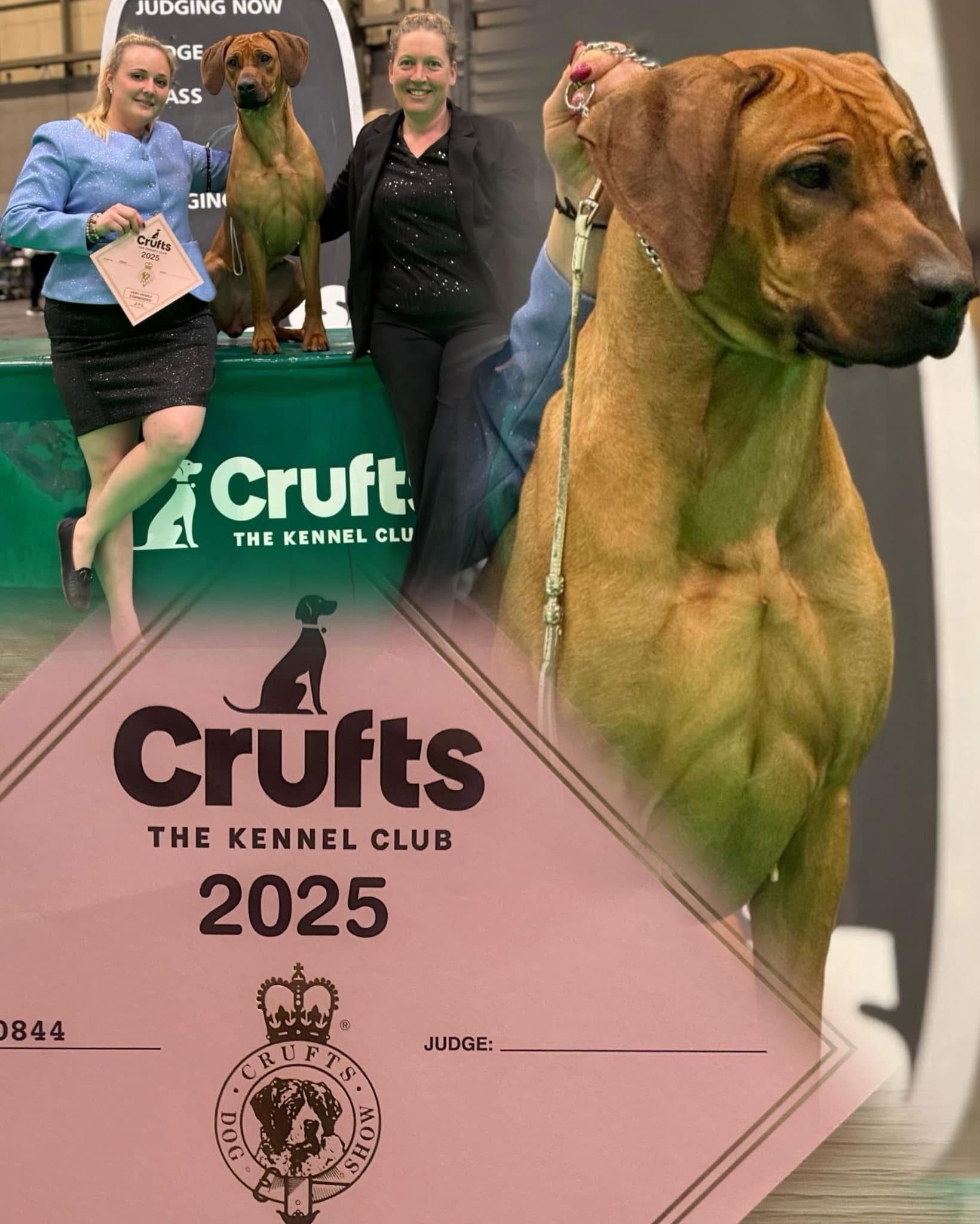 Kaleya erfolgreich an den Crufts