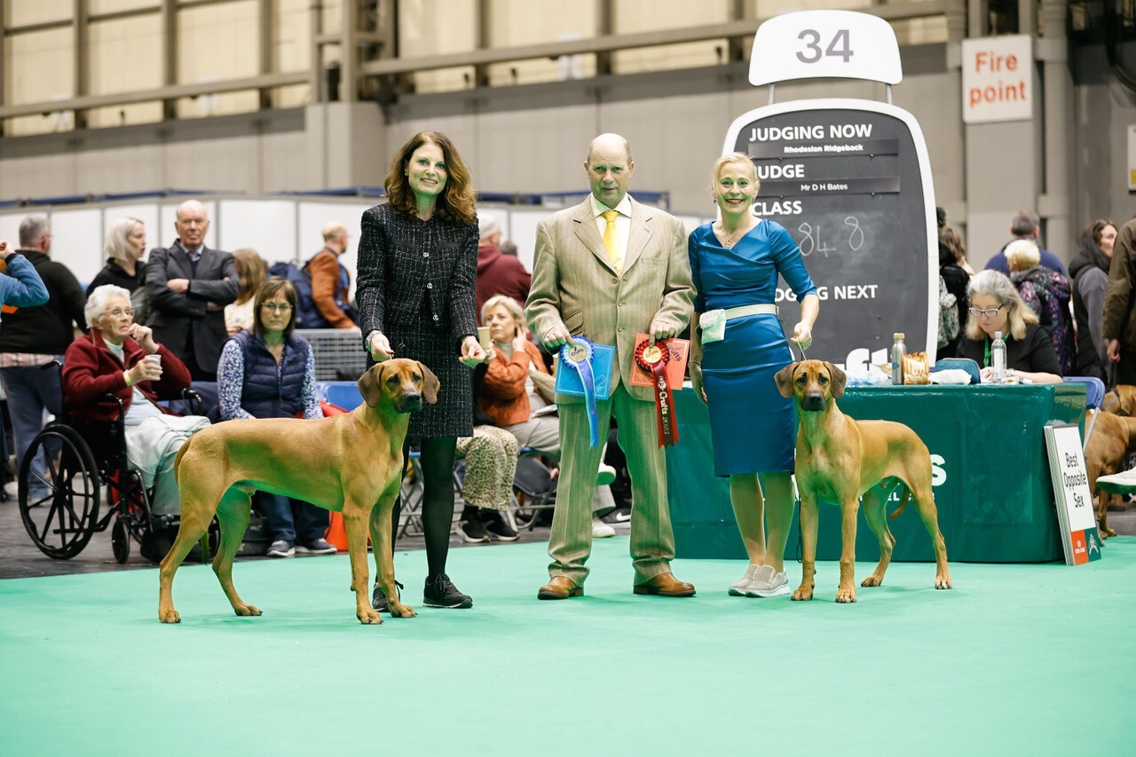 Das Shurubu-Team war erfolgreich an den Crufts