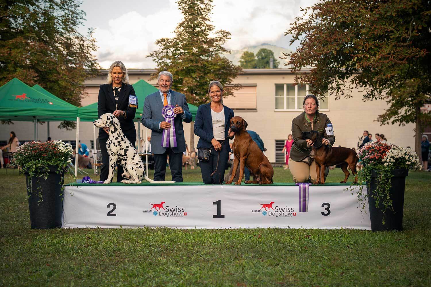 Ivie is the new Swiss Grand Champion