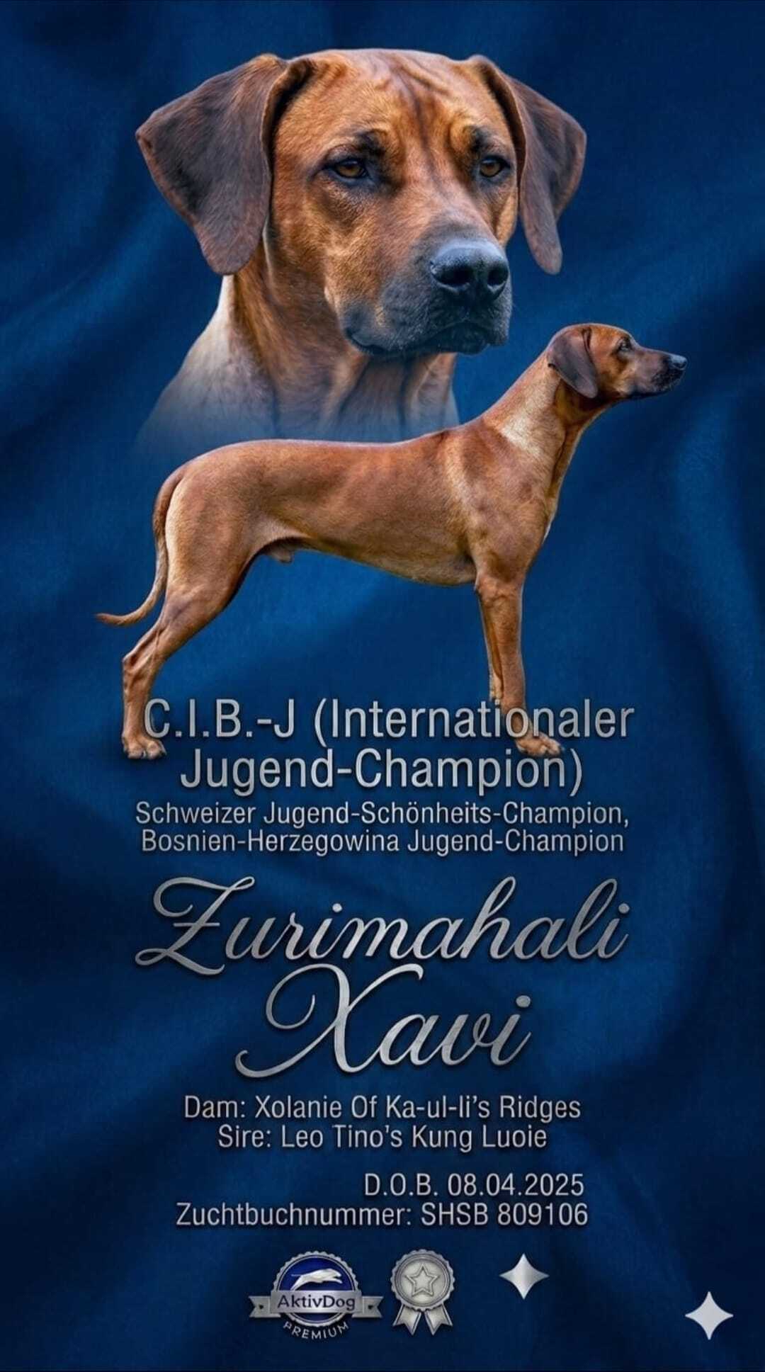 Zurimahali Xavi